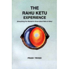 The Rahu Ketu Experience: (Everything You Wanted To Know about Rahu And Ketu)